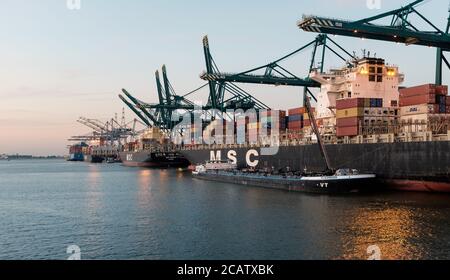 Les conteneurs sont déchargés du MSC Rachele dans le port d'Anvers Banque D'Images