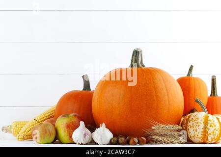 Récolte d'automne encore la vie avec des citrouilles , des épis de blé , des pommes , de l'ail , de l'oignon sur fond de bois blanc Banque D'Images