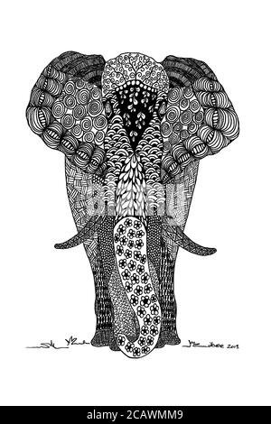 Œuvre originale de Dbee Robinson. Représentation de l'éléphant de grande taille. Tête sur la vue d'un éléphant à motifs en ligne noire avec remplissage blanc. Banque D'Images