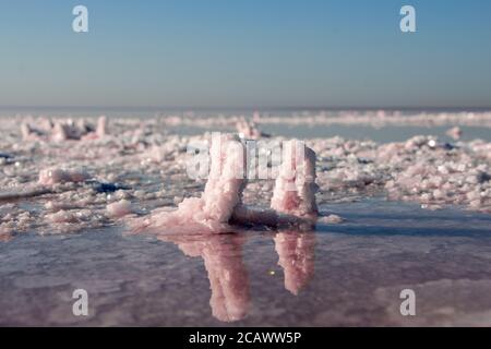 Deux cristaux de sel rose sur les rives d'un lac rose en Australie. Banque D'Images