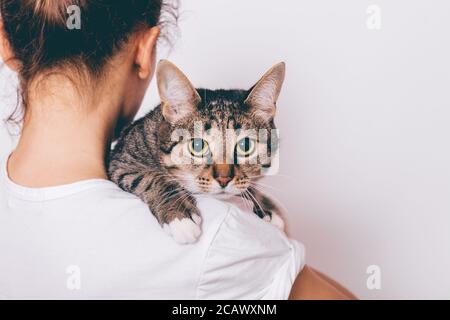 Jeune femme tenant son chat rayé, qui regarde sérieusement. Propriétaire qui embrasse un animal sur fond blanc. Banque D'Images