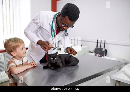beau médecin vétérinaire africain examine chat mignon tandis que son propriétaire est debout à proximité, médecin confiant inspire confiance Banque D'Images