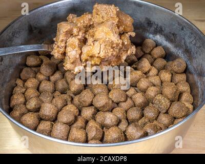 Une cuillère de service contenant de la viande de chien en gelée sur des croquettes / aliments secs dans un bol en acier, pour un chien d'animal de compagnie au moment du repas. Banque D'Images