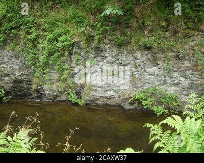 Ardoise Cliff face sur une Riverbank Banque D'Images