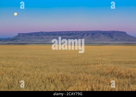 cadre de pleine lune dans un ciel avant l'aube au-dessus de la place butte et champ de blé près d'ulm, montana Banque D'Images