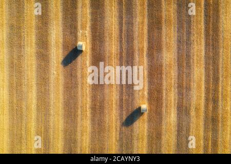 Vue aérienne des balles de foin en été. Vue de dessus des piles de foin Banque D'Images