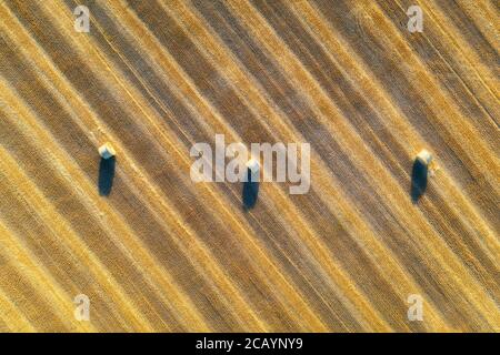 Vue aérienne des balles de foin en été. Vue de dessus des piles de foin Banque D'Images