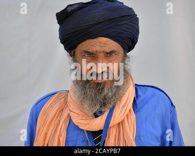 Le dévot de Sikh indien âgé avec turban noir (dastar) pose pour la caméra. Banque D'Images