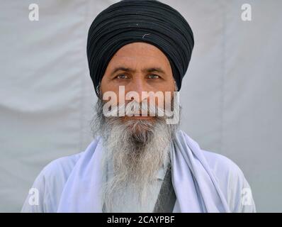 Dévot de Sikh indien d'âge moyen avec turban noir (dastar) et poses de barbe longue pour l'appareil photo. Banque D'Images