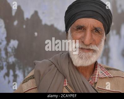 Un Sikh indien âgé avec turban noir (dastar) pose pour la caméra. Banque D'Images