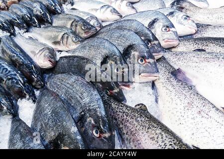 poisson sur glace au marché du poisson, dorado poisson vendre Banque D'Images