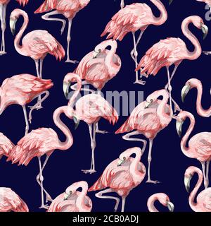 Motif sans couture avec flamants roses. Vecteur. Illustration de Vecteur