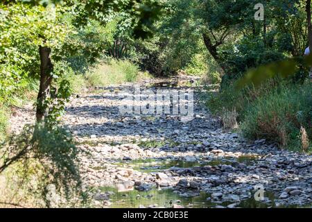 Bad Krozingen, Allemagne. 09e août 2020. Au niveau des jardins du spa de Bad Krozingen, la rivière Neumagen ne transporte que très peu d'eau, tandis que les pierres du lit de la rivière sont déjà sèches. En raison des températures élevées et de la sécheresse persistante, l'Allemagne connaît actuellement une période de sécheresse historique. Credit: Philipp von Ditfurth/dpa/Alay Live News Banque D'Images