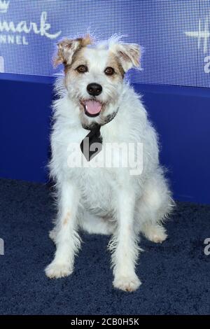 LOS ANGELES - JUL 26: Heureux à la Hallmark été 2019 TCA partie à la résidence privée le 26 juillet 2019 à Beverly Hills, CA Banque D'Images