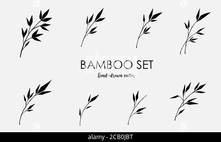 Éléments vectoriels en bambou isolés sur un fond clair. Panneau noir de bambou dans un style plat. Silhouettes simples forêt de bambou, jungle ou arbres. Illustration de Vecteur