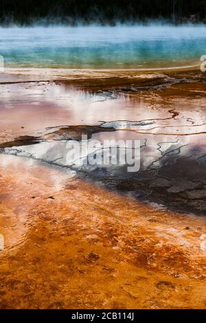 Détail coloré du Grand Prismatic Hot Spring à Yellowstone Parc national Banque D'Images