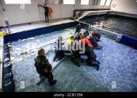 L'équipe de Sea Life Trust tient le béluga Little Grey pendant le transfert de la piscine de soins du côté terrestre à la piscine de soins du côté de la baie où elle sera acclimaté à l'environnement naturel de sa nouvelle maison au sanctuaire d'eau libre de Klettsvik Bay en Islande. Les deux bélugas, nommés Little Grey et Little White, sont emménagé dans le premier sanctuaire de baleines en eau libre du monde après avoir quitté un aquarium en Chine à 6,000 kilomètres en juin 2019. Banque D'Images