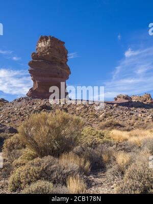 Vue sur le doigt des dieux de Roque Cinchado, célèbre formation rocheuse dans le parc national de Roques de Garcia el teide avec végétation sèche et ciel bleu clair Banque D'Images