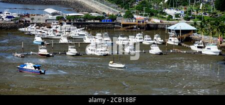 Un certain nombre de bateaux de plaisance, un peu de luxe, dans une marina et sec, Panama City, Panama, Amérique centrale Banque D'Images