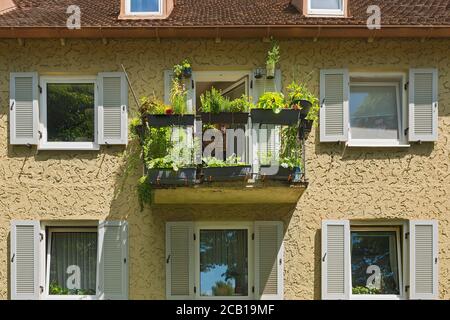 Maison ancienne avec balcon vert, années 50, Munich, haute-Bavière, Bavière, Allemagne Banque D'Images