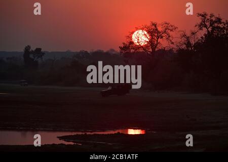 Véhicules safari au lever du soleil le long de la rivière Chobe, parc national de Chobe, Botswana Banque D'Images