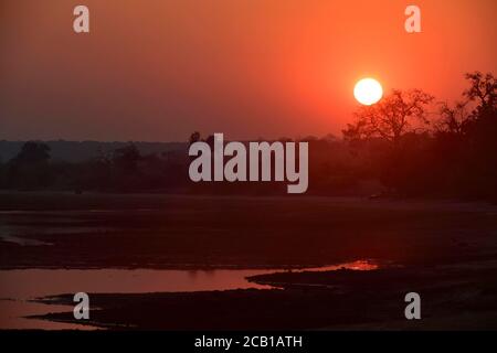 Véhicules safari au lever du soleil le long de la rivière Chobe, parc national de Chobe, Botswana Banque D'Images