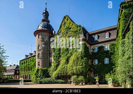Château médiéval, Château de Laubach, surcultivé avec l'ivy commune (Hedera Helix), résidence des comtes de Solms Laubach, Laubach, Hesse, Allemagne Banque D'Images