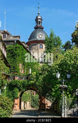 Porte au château médiéval, surcultivé avec la commune de l'ivie (Hedera Helix), Château de Laubach, résidence des comtes de Solms Laubach, Laubach, Hesse Banque D'Images