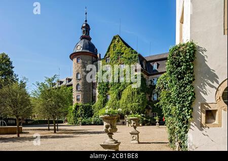 Château médiéval, Château de Laubach, surcultivé avec l'ivy commune (Hedera Helix), résidence des comtes de Solms Laubach, Laubach, Hesse, Allemagne Banque D'Images