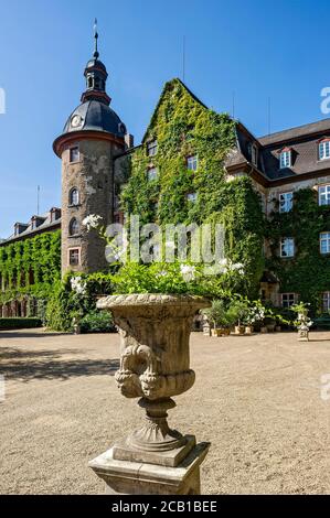 Château médiéval, Château de Laubach, surcultivé avec l'ivy commune (Hedera Helix), résidence des comtes de Solms Laubach, Laubach, Hesse, Allemagne Banque D'Images