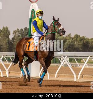 Courses hippiques à l'hippodrome King Khalid 7/8/2020 Banque D'Images