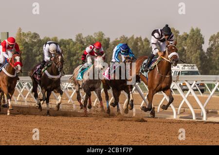 Courses hippiques à l'hippodrome King Khalid 7/8/2020 Banque D'Images