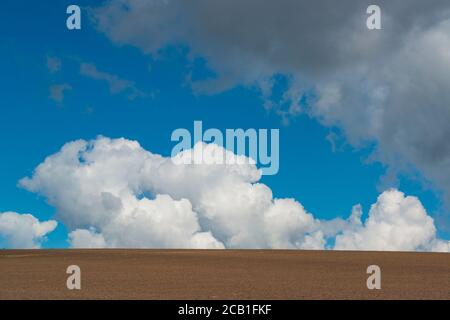 Paysage minimaliste avec sol labouré et ciel bleu avec de grands nuages moelleux. Campagne d'été. Haute résolution. Banque D'Images