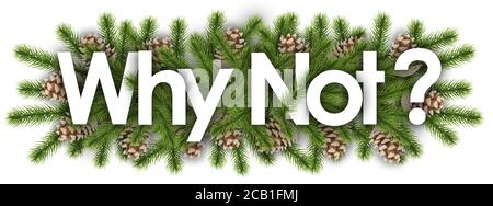 Pas maintenant en arrière-plan de noël - branches de pin Banque D'Images