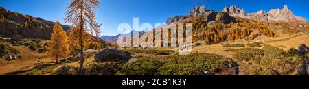 La vallée supérieure de la Claree aux couleurs de l'automne avec des mélèzes dorés et la chaîne de montagnes du massif des Cerces. Laval, Hautes-Alpes (05), Alpes, France Banque D'Images
