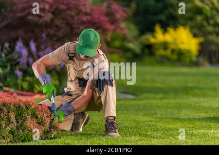 Homme travailleur qui s'accrousse et tond une petite bague rouge avec des cisailles manuelles. Banque D'Images