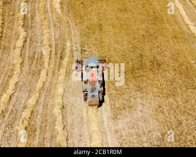 Vue aérienne du champ de blé récolté en Turquie. Récolte de blé en été. Banque D'Images
