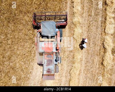 Vue aérienne du champ de blé récolté en Turquie. Récolte de blé en été. Banque D'Images