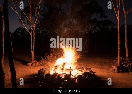 Feu de camp brûlant dans l'Outback australien avec des gommiers (eucalyptus) autour Banque D'Images