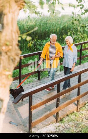 Foyer sélectif d'homme souriant se promenant avec la femme et le pug chien sur le pont dans le parc Banque D'Images