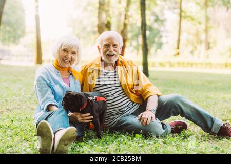 Foyer sélectif de couple âgé souriant avec chien de pug regardant à la caméra sur l'herbe dans le parc Banque D'Images