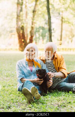 Foyer sélectif de couple de personnes âgées souriantes en train de pleurs chien herbe dans le parc Banque D'Images