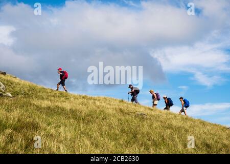 Une ligne de randonneurs qui parcourent une colline en suivant un leader sur le versant herbeux de Moel Lefn dans le parc national de Snowdonia. Gwynedd, pays de Galles, Royaume-Uni, Grande-Bretagne Banque D'Images