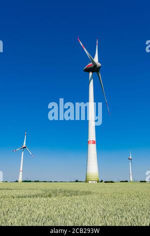 Paysage agricole avec un champ de blé vert, trois éoliennes au loin Banque D'Images