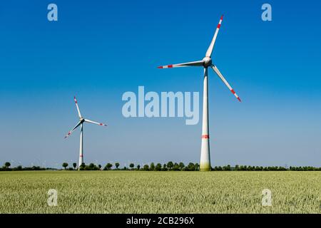 Paysage agricole avec un champ de blé vert et deux éoliennes, beaucoup plus d'éoliennes au loin Banque D'Images
