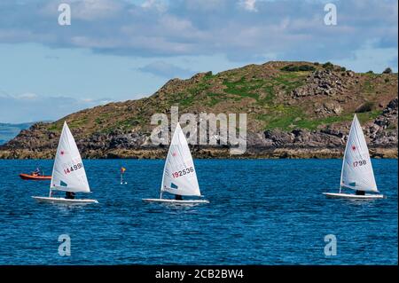 Canots de voile laser en course par Craigleith Island à Firth of Forth, en Écosse, au Royaume-Uni Banque D'Images