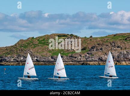 Canots de voile laser dans la course de voile le jour ensoleillé d'été par Craigleith Island à Firth of Forth, Écosse, Royaume-Uni Banque D'Images