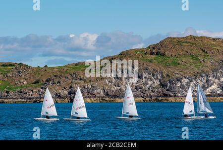 Canots de voile laser dans la course de voile le jour ensoleillé d'été par Craigleith Island à Firth of Forth, Écosse, Royaume-Uni Banque D'Images