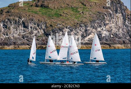 Canots de voile laser dans la course de voile le jour ensoleillé d'été par Craigleith Island à Firth of Forth, Écosse, Royaume-Uni Banque D'Images