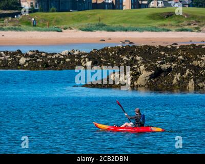 Homme pagayant un kayak de mer à West Bay, le jour d'été ensoleillé de North Berwick, East Lothian, Écosse, Royaume-Uni Banque D'Images